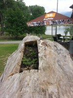 /album/chatkanitrianskerudno/a20130615-111945-jpg/